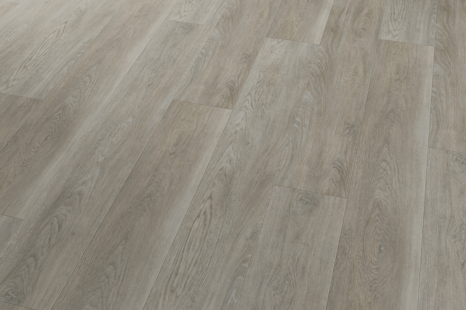 Vinylboden mit Dekor Esche grau